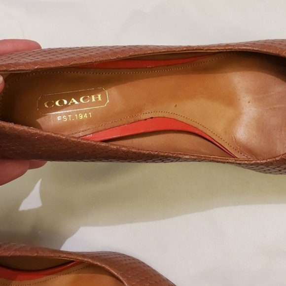 Coach reptile print with classic signature "C" signature logo. - Picture 5 of 6